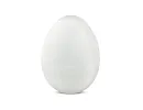 EggTemp | Data logger teploty ve tvaru vejce, s ochranným krytem