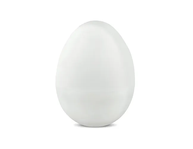 EggTemp | Data logger teploty ve tvaru vejce, s ochranným krytem